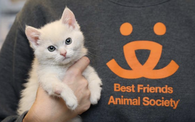 Softgiving partners with Best Friends Animal Society for March Catness