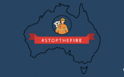 Australian bushfire disaster: how you can help